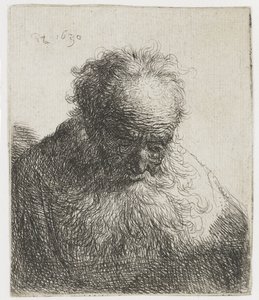Gammal man med ett flödande skägg, vänster axel oskuggad Byst av en gammal man med flödande skägg: huvudet böjt framåt: vänster axel oskuggad av Rembrandt van Rijn