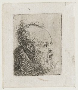 En gammal, skäggig man med munnen halvöppen av Rembrandt van Rijn