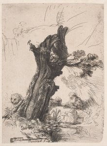 S. Jerome bredvid en stambeskuren pil av Rembrandt van Rijn