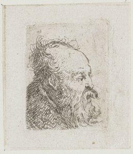 Samling av studier av mäns huvuden: gammal skäggig man, nästan i profil åt höger: munnen halvöppen av Rembrandt van Rijn