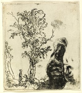 Ark med två studier: ett träd och den övre delen av huvudet på konstnären som bär en sammetsmössa av Rembrandt van Rijn