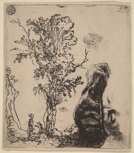 Ark med två studier: ett träd och den övre delen av konstnärens huvud med en sammetmössa av Rembrandt van Rijn