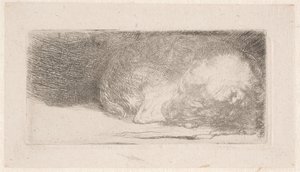 Sovande valp av Rembrandt van Rijn