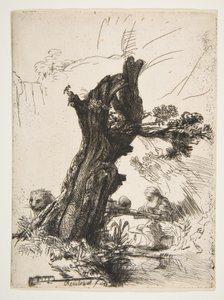 St. Hieronymus bredvid en pollardpil, 1648. av Rembrandt van Rijn