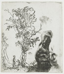 Skiss med ett träd och den övre delen av Rembrandts huvud med basker av Rembrandt van Rijn
