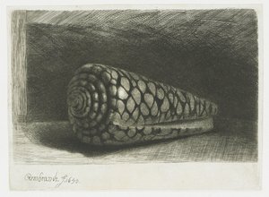 Skalet av Rembrandt van Rijn