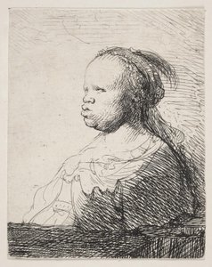 Den vita svarta av Rembrandt van Rijn