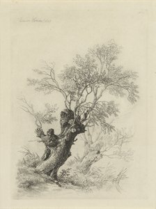 pilträd