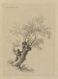 pilträd av Remigius Adrianus Haanen
