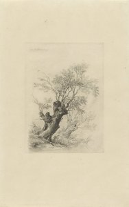 pilträd av Remigius Adrianus Haanen