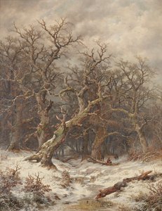 Vinterlandskap (vinterskog)