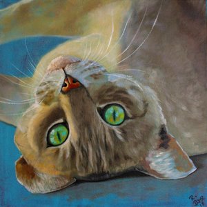 Kattlycka av Renate Dohr
