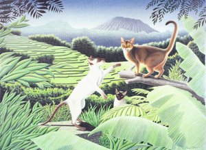 Bali, 2002, teckning med färgpenna på papper av Rene Boin