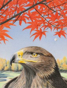 Eagle, 2015, teckning med färgpenna på papper
