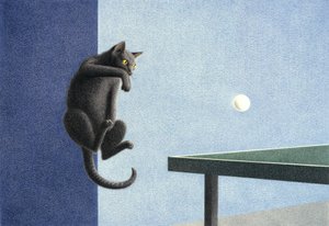 Ping pong av Rene Boin