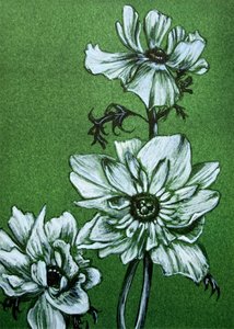Kusliga gröna blommor