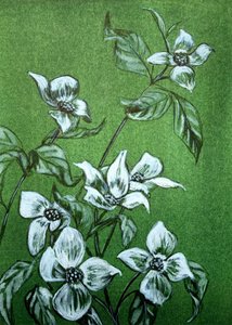 Gröna botaniska blommor