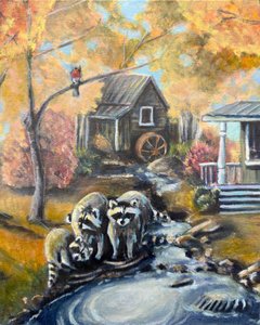 Tvättbjörnar i Autumn Stream