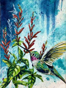 ”Hover” – kolibri- och ananassalviablommor av Renee Machan