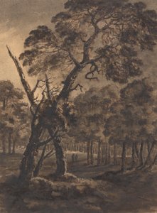 Skogsscen av Rev. William Gilpin