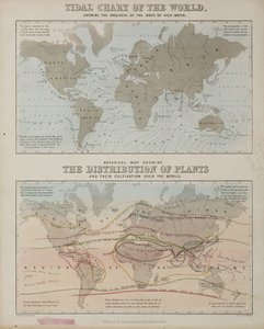 Ett tidvattendiagram och en karta över växternas utbredning över världen, ca 1850 av John Pardon