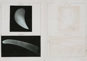 Halleys komet, oktober 1835 av John Pardon