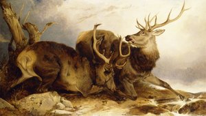 Striden, 1847