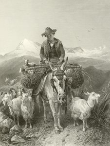 Getherden i Granada av Richard Ansdell