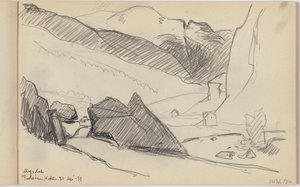Myrdal Fretheim Hotel av Richard Baseleer
