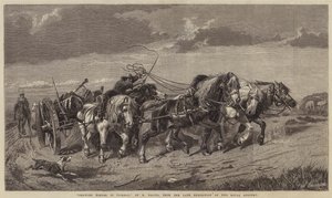 Ritning av timmer i Picardie av Richard Beavis