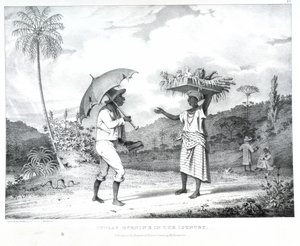 Söndag morgon i landet, illustration från "West India scenery"