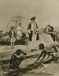 Hur kapten Cook välkomnades i Tasmanien (gravyr) av Richard Caton Woodville junior