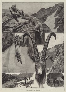 Ibex-Shooting in the Himalaya gravyr