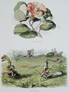 A Dancing Butterfly, and The Tournament, illustrationer från "In Fairyland: A Series of Pictures from the Elf-World" av William Allingham och Andrew Lang (lito i färg) av Richard Doyle
