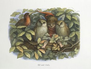 Tomte och ugglor av Richard Doyle