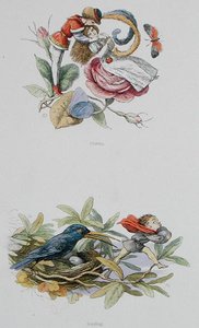 Flirta och stjäla, illustrationer från "In Fairyland: A Series of Pictures from the Elf-World" av William Allingham och Andrew Lang (lito i färg) av Richard Doyle