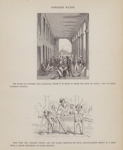 Sida från The American Tour of Mrs Brown, Jones and Robinson (gravyr) av Richard Doyle