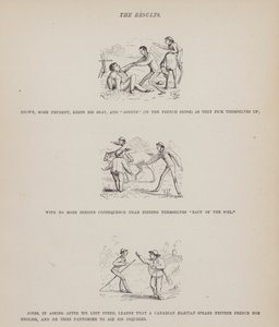 Sida från The American Tour of Mrs Brown, Jones and Robinson (gravyr) av Richard Doyle