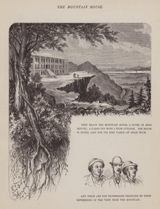 Sida från The American Tour of Mrs Brown, Jones and Robinson (gravyr) av Richard Doyle
