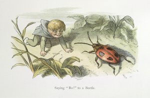 Säger nej! till en skalbagge av Richard Doyle