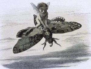 Un elfe chevauchant un papillon. Illustration av Richard Doyle däck av ""In Fairy land. En serie bilder från elf - världen"" accompagnee d