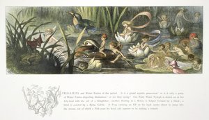 Näckrosor och vattenälvor av Richard Doyle