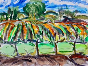 Autumn Vineyards, Napa, 2017 av Richard Fox