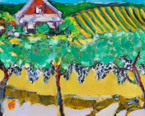Merlot druvor, Napa, 2017 av Richard Fox