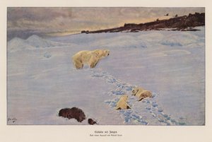 Isbjörn med ungar (färglitografi) av Richard Friese