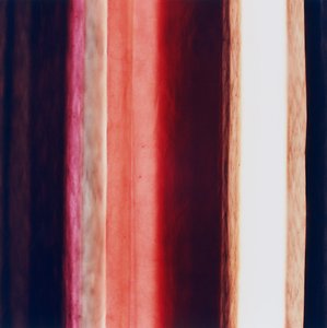 Stripe XI, 2005 av Richard Green