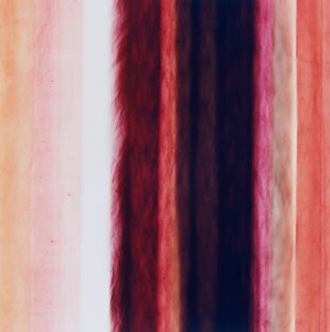 Stripe X, 2005 av Richard Green