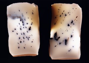 Utan titel (dubbelstudie), 2001 av Richard Green