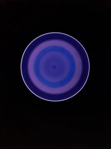 Utan titel, 2004 av Richard Green