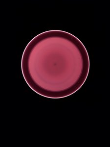 Utan titel, 2004 av Richard Green